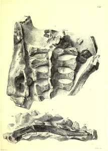 n114_w1150