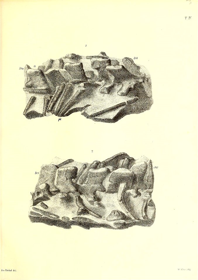 n106_w1150