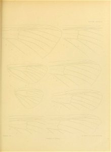 n452_w1150
