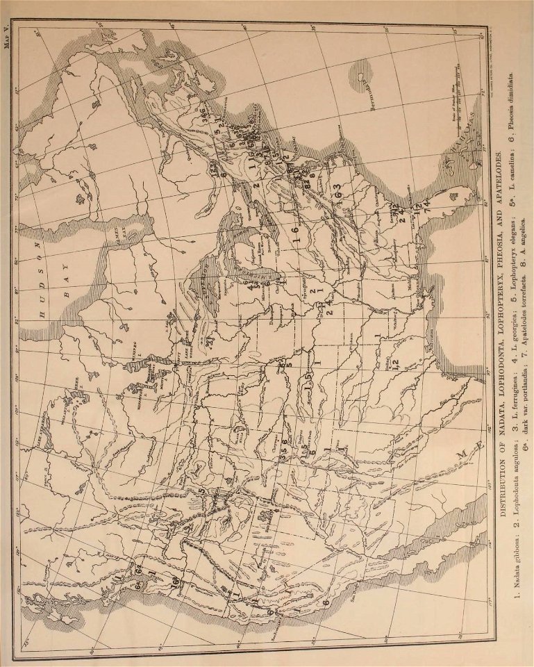n510_w1150