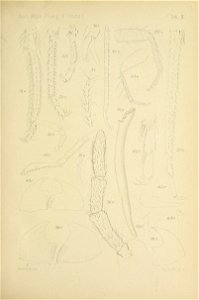 n604_w1150