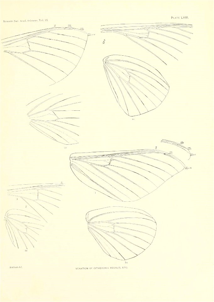 n388_w1150