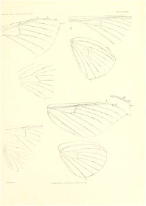 n388_w1150