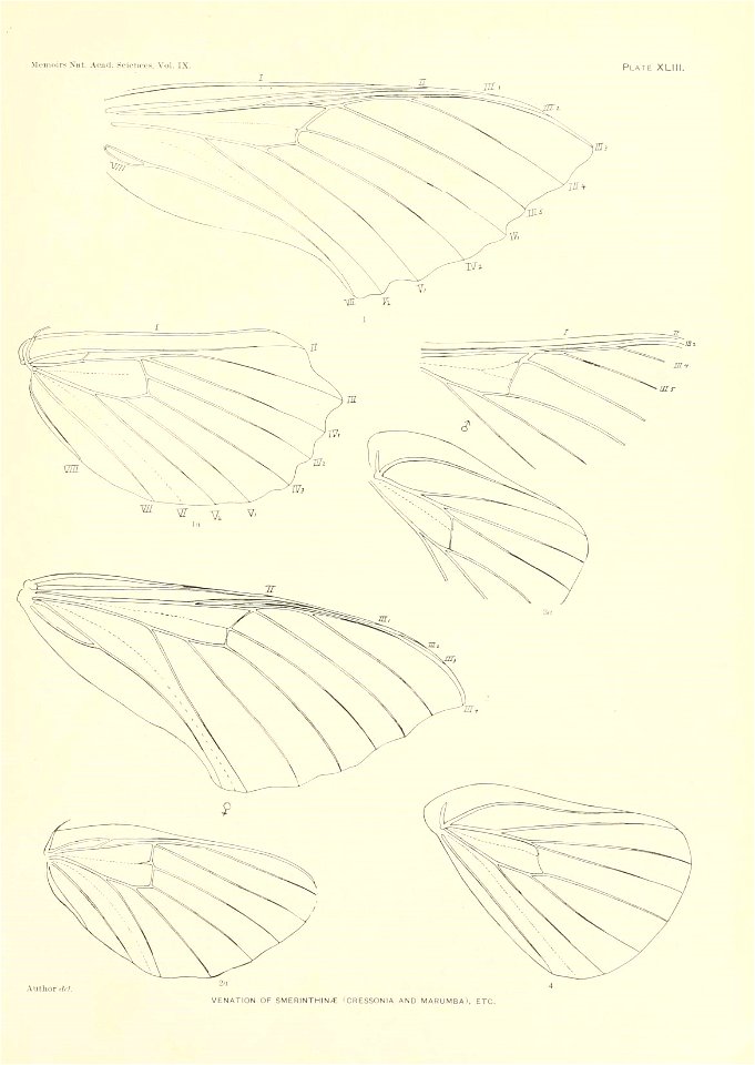 n328_w1150