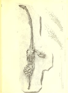 n186_w1150