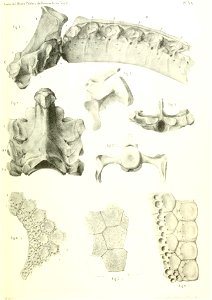 n476_w1150