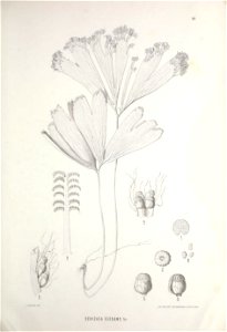 n452_w1150