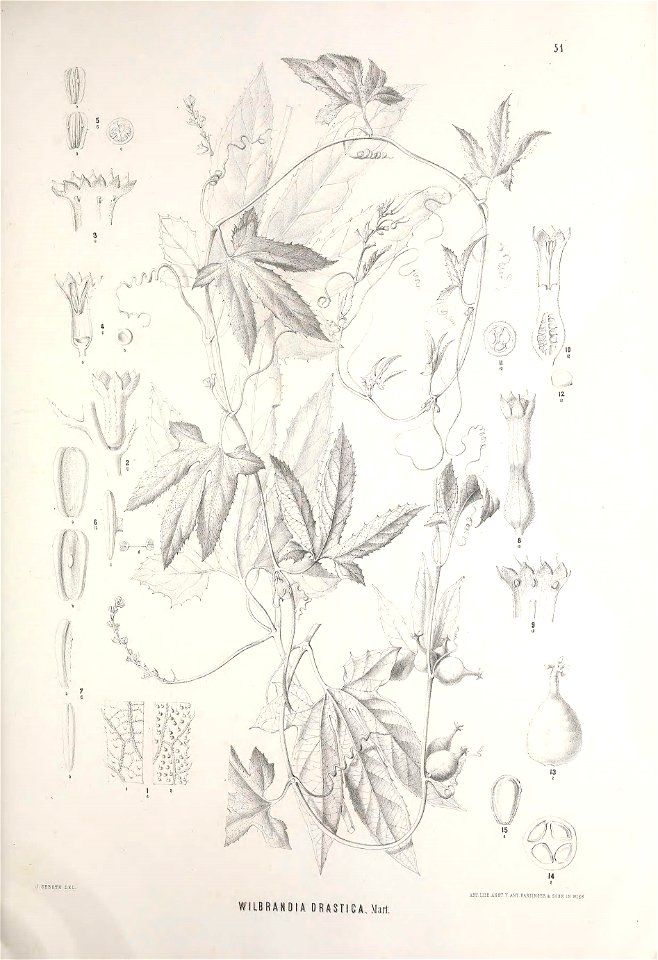 n362_w1150