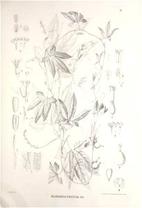 n362_w1150