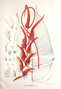 n302_w1150