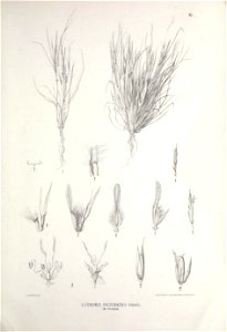n446_w1150