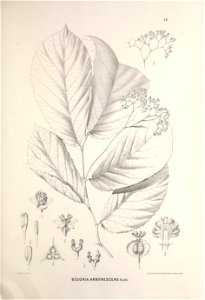 n356_w1150
