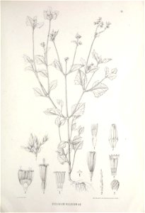 n414_w1150