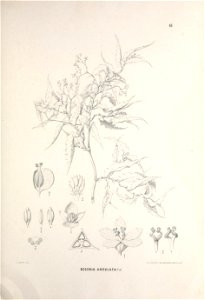 n354_w1150
