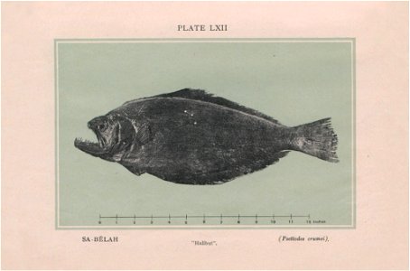 n321_w1150