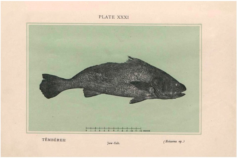 n290_w1150