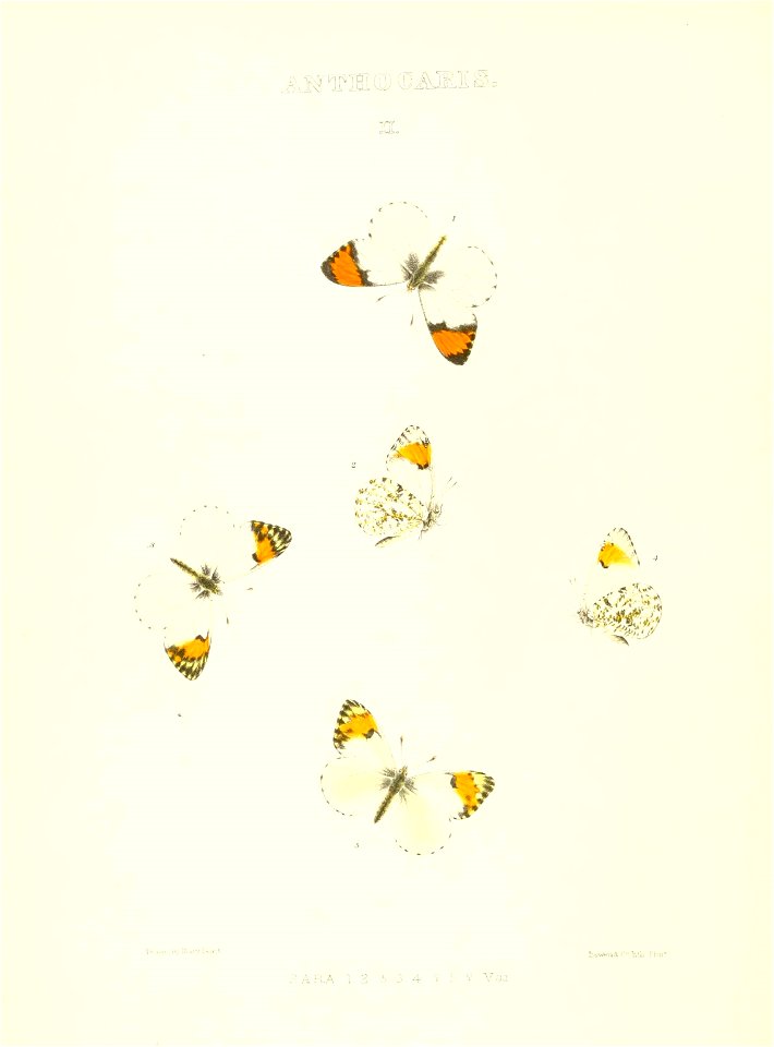 n133_w1150