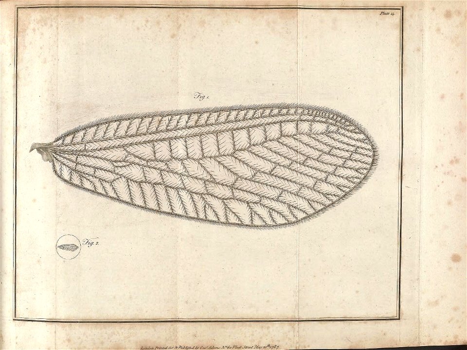n462_w1150