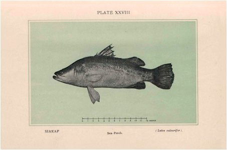 n287_w1150