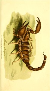 n258_w1150