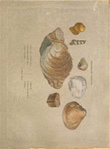 n46_w1150