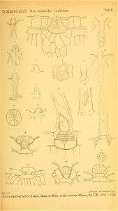 n612_w1150