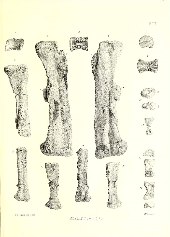 n46_w1150