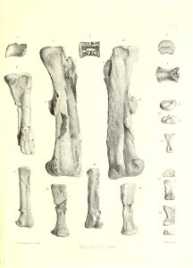 n46_w1150