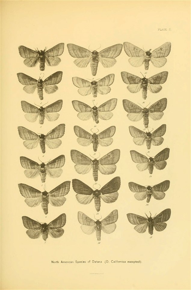 n304_w1150