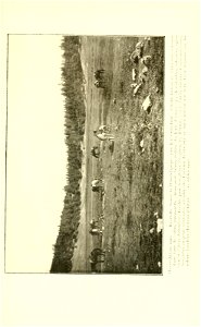 n198_w1150