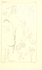 n458_w1150