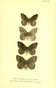 n256_w1150