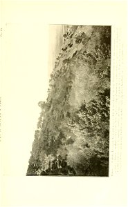 n226_w1150