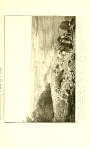 n196_w1150