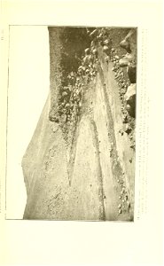 n166_w1150
