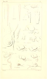 n456_w1150