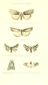 n540_w1150
