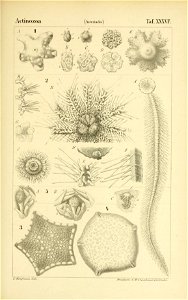 n588_w1150
