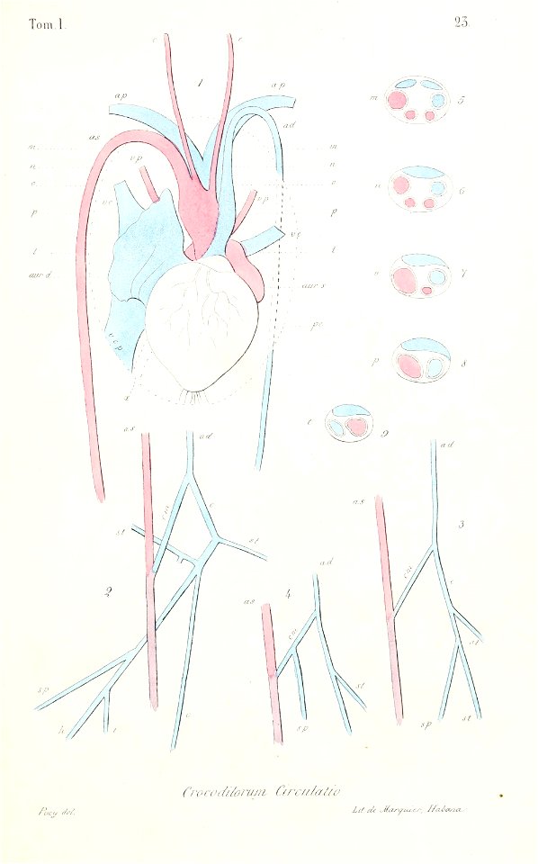 n514_w1150