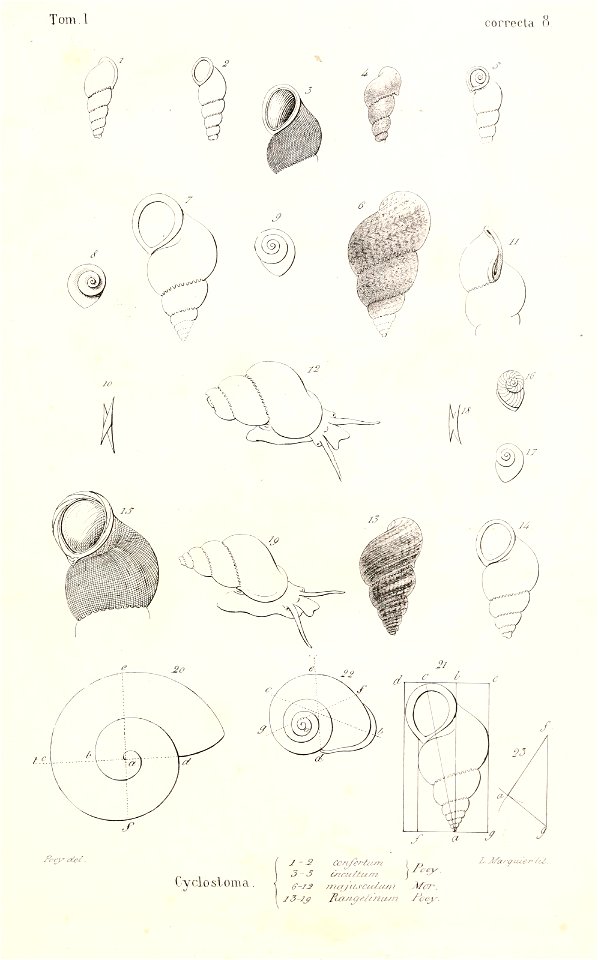 n484_w1150