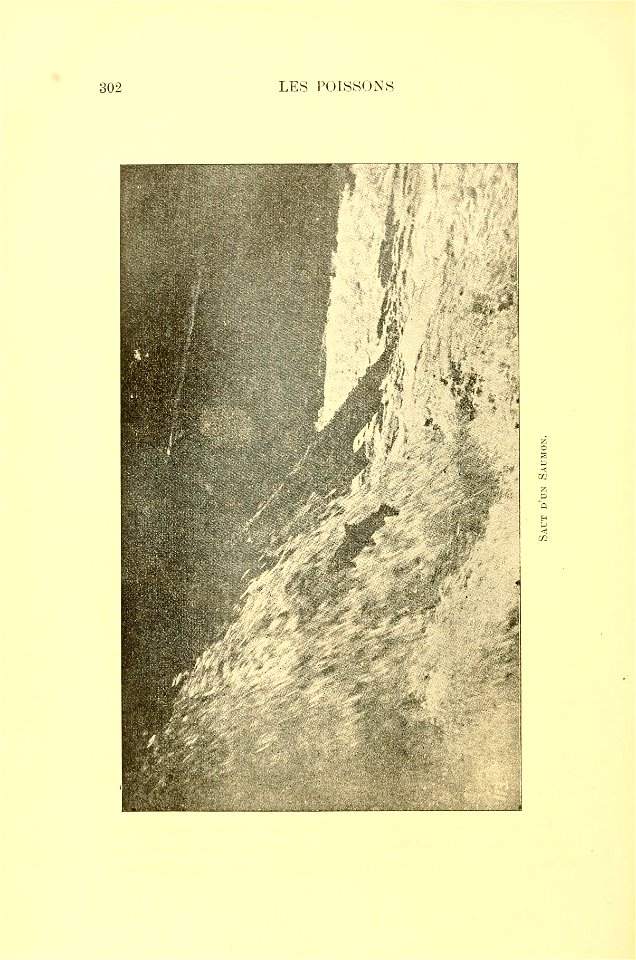 n323_w1150