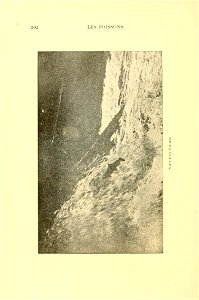 n323_w1150