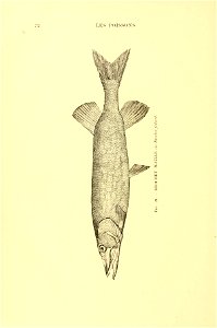n87_w1150