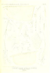 n228_w1150