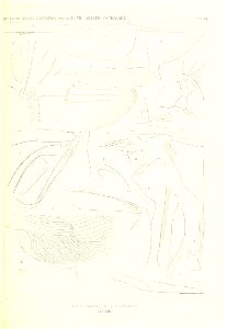 n168_w1150