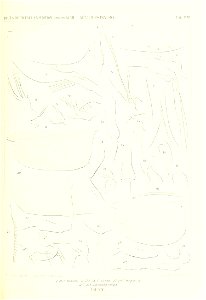 n192_w1150