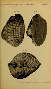 n48_w1150