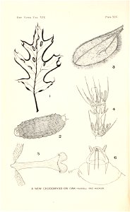 n399_w1150