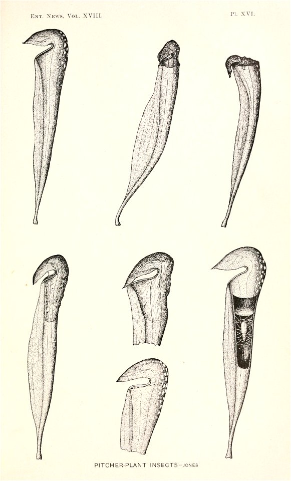 n506_w1150