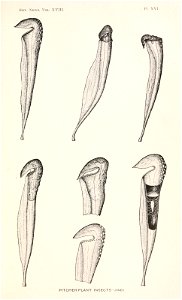 n506_w1150